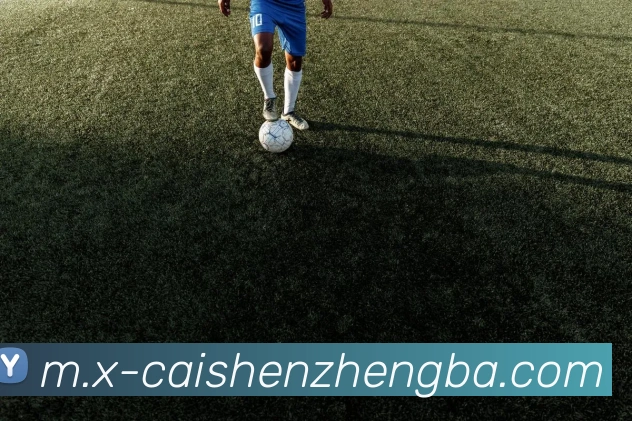 彩神争霸服务体系